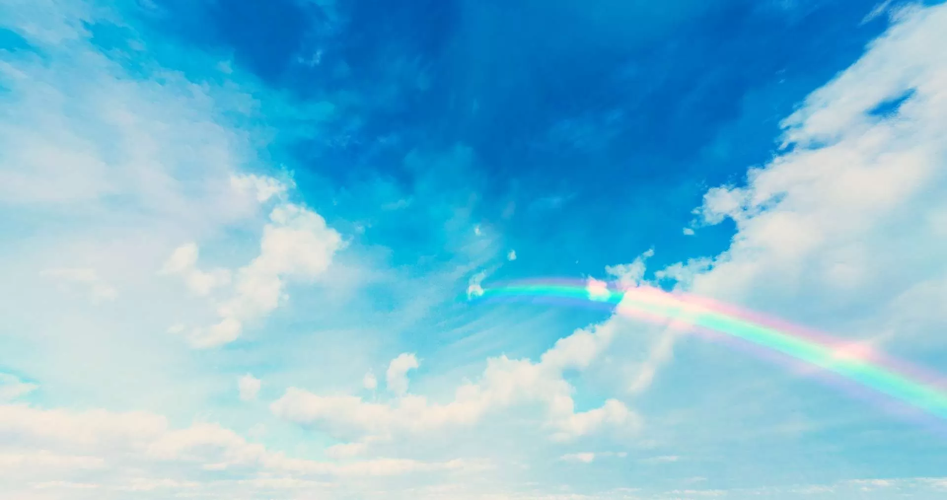 Gallery Image 6 for PINKBR3AK on PVPRP